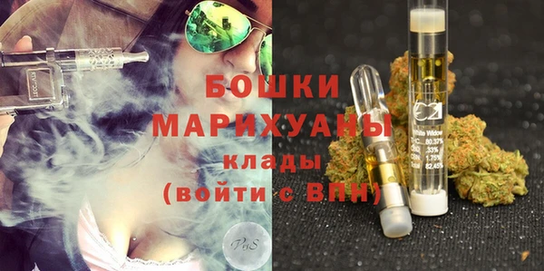 ПСИЛОЦИБИНОВЫЕ ГРИБЫ Балабаново