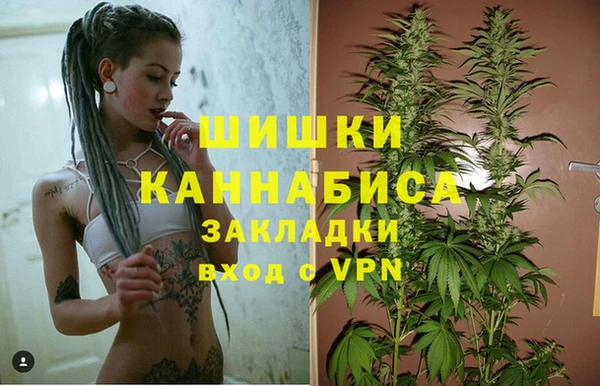 ПСИЛОЦИБИНОВЫЕ ГРИБЫ Балабаново