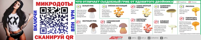 Псилоцибиновые грибы Psilocybe  Купить  Артёмовск 